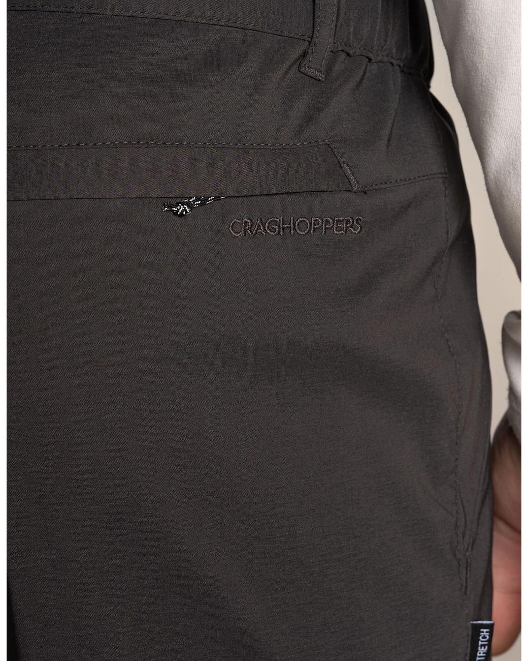 Craghoppers Gray Kiwi Pro Iii Convertible Trousers for men