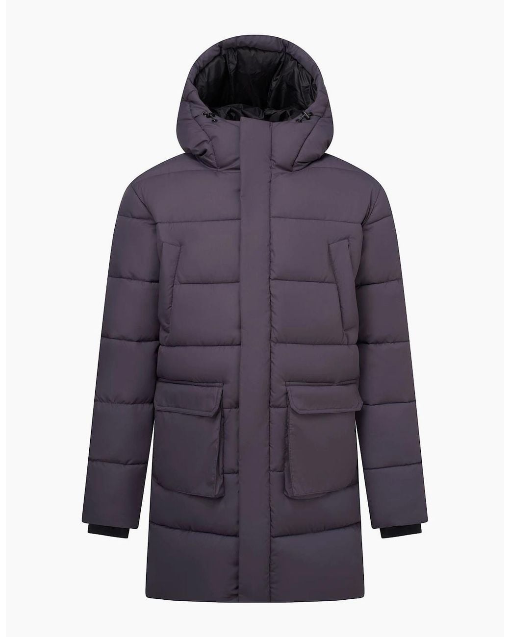 Regatta Purple Marek Longline Hybrid Jacket for men