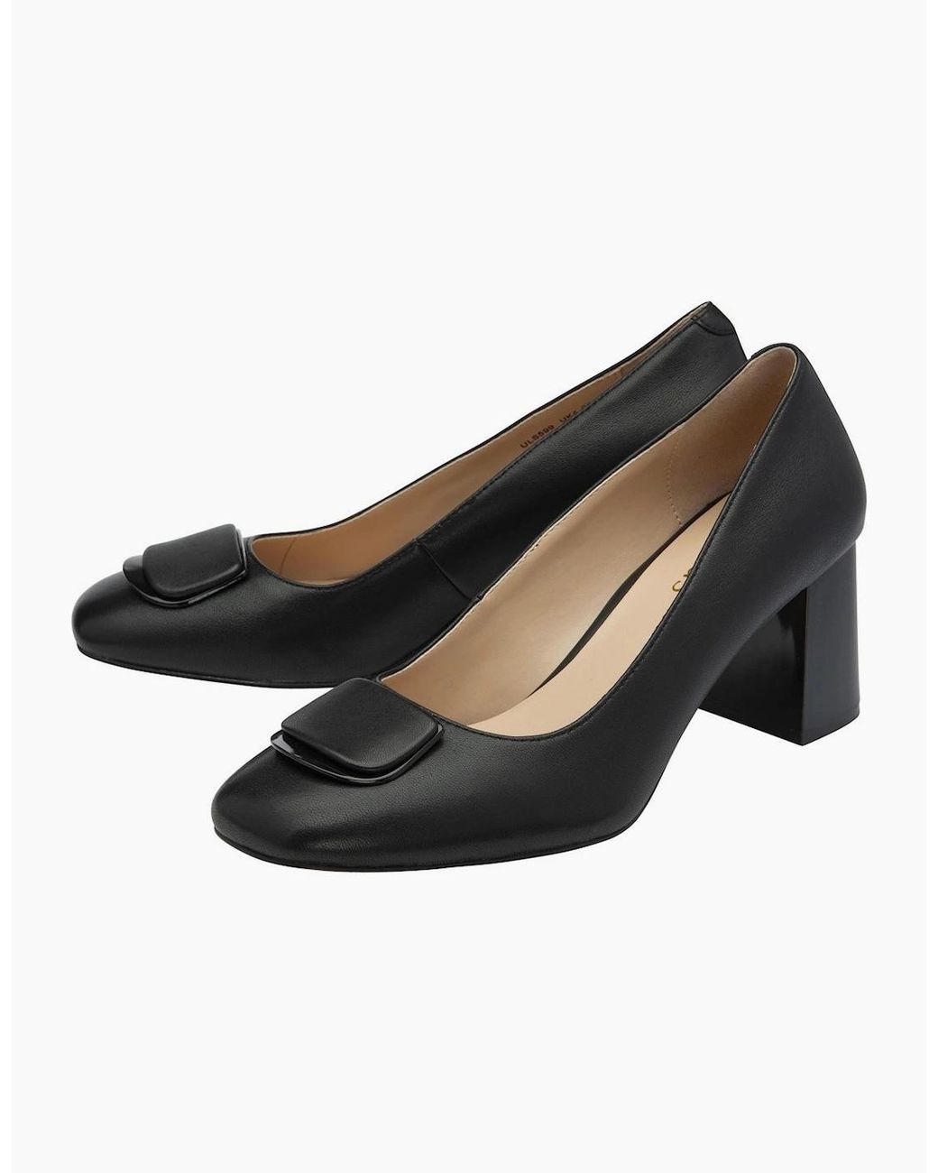Lotus Black Allegra Court Shoes