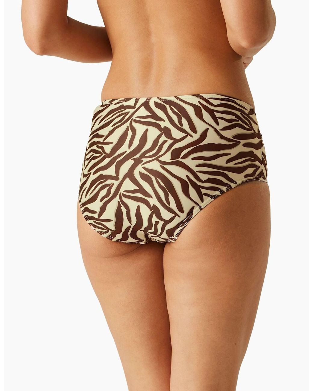 Regatta Natural Ladies Paloma Zebra Print Swim Briefs