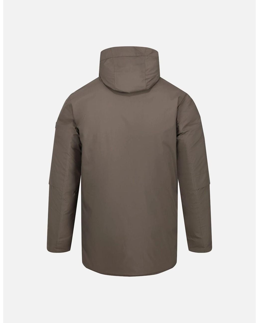 Regatta Brown Yewbank Ii Parka for men