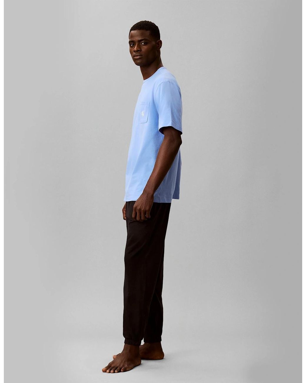 Calvin Klein Blue 2 Pack Ss T-Shirt T-Shirts & Tank Tops Descent for men