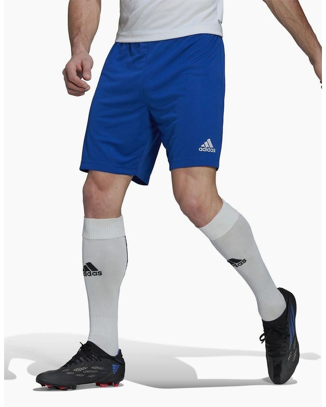 Adidas Blue Entrada 22 Shorts for men