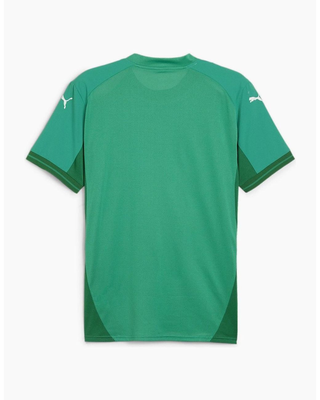 PUMA Green Teamfinal Jersey T-Shirt for men