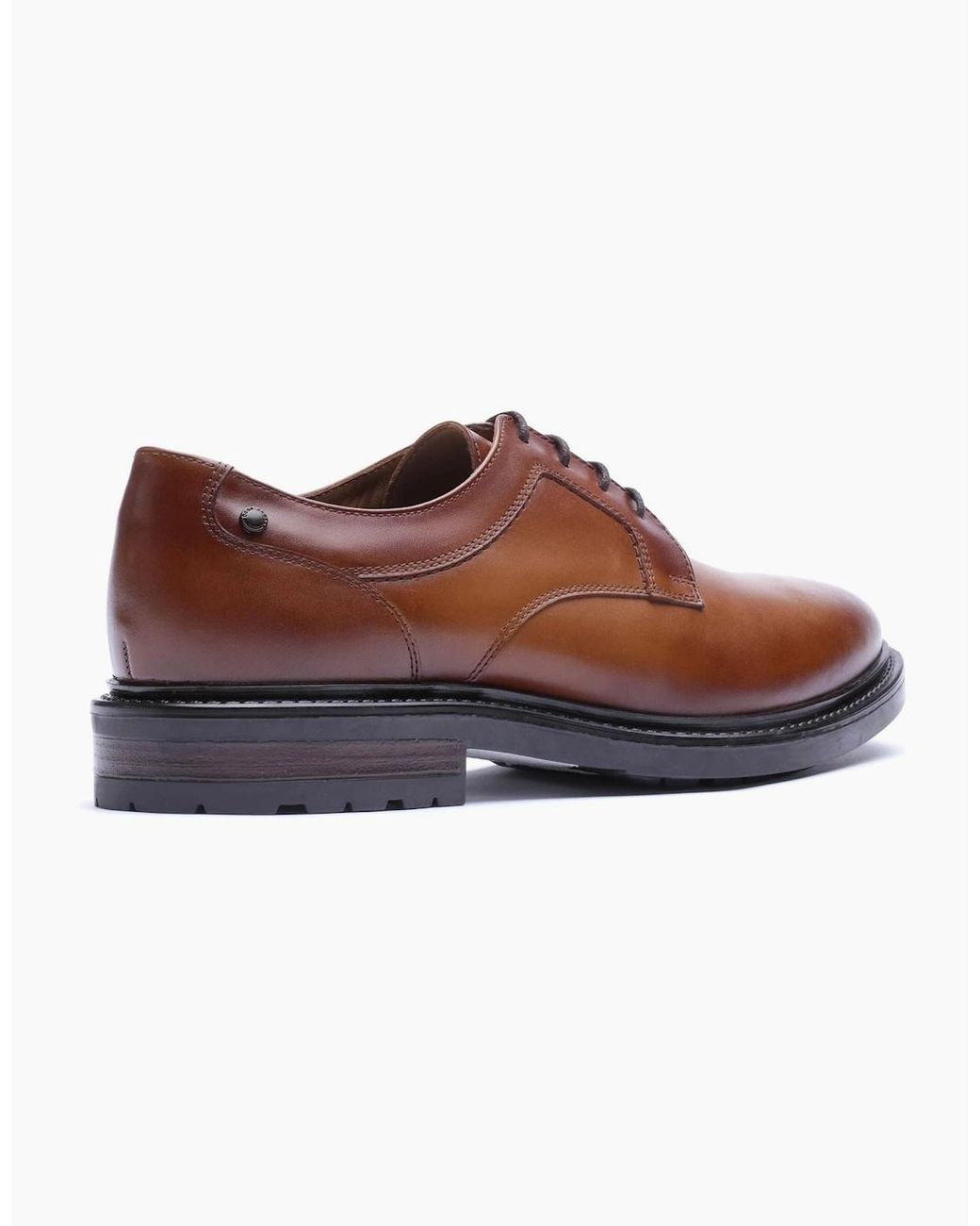 Base London Brown London Carter Leather Tan Derby Shoes for men
