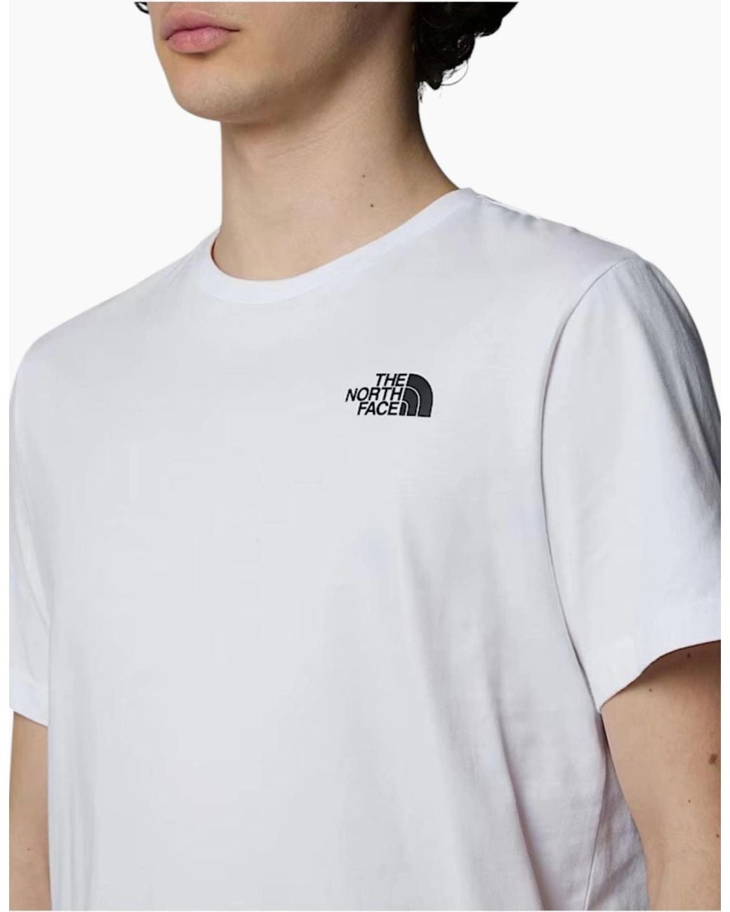 The North Face Gray T Shirts Box Nse Celebration Crew Neck Graphic Print Summer Tee for men