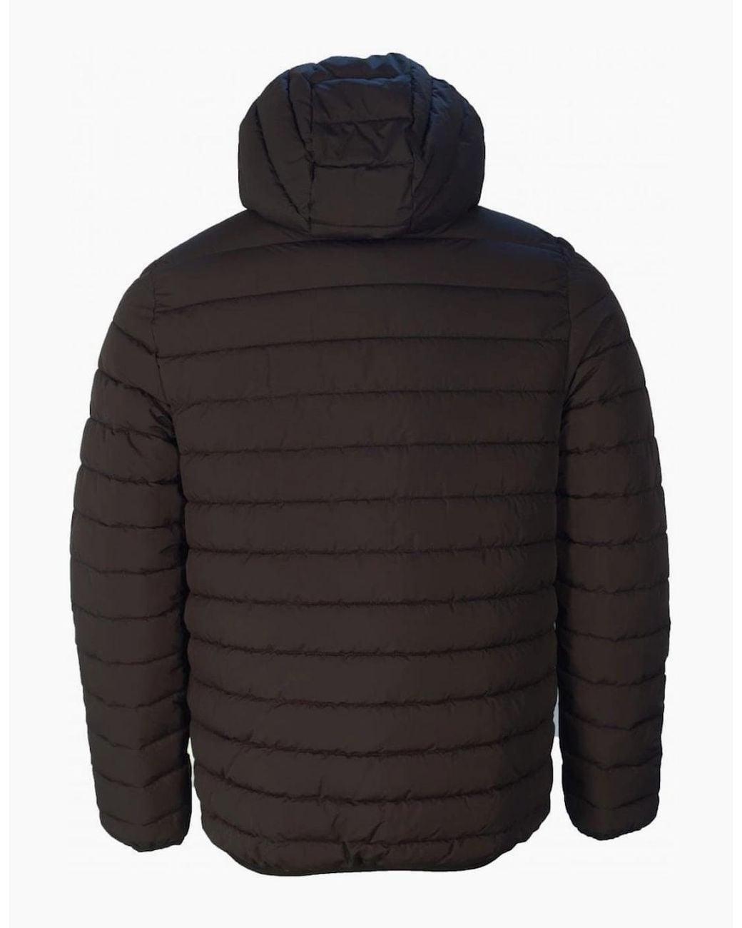 Aquascutum Black Active 100Gr Hooded Jacket for men
