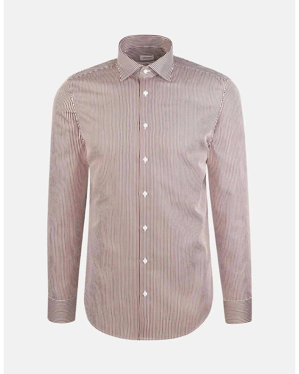 Seidensticker Purple Regular Fit Easy Iron New Kent Striped Business Shirt Burgundy for men