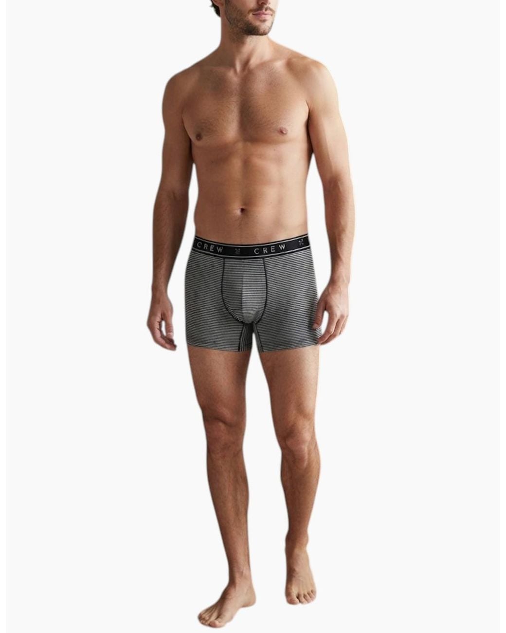 Crew Blue Boxer Assorted 3Pack Cotton Underwear for men