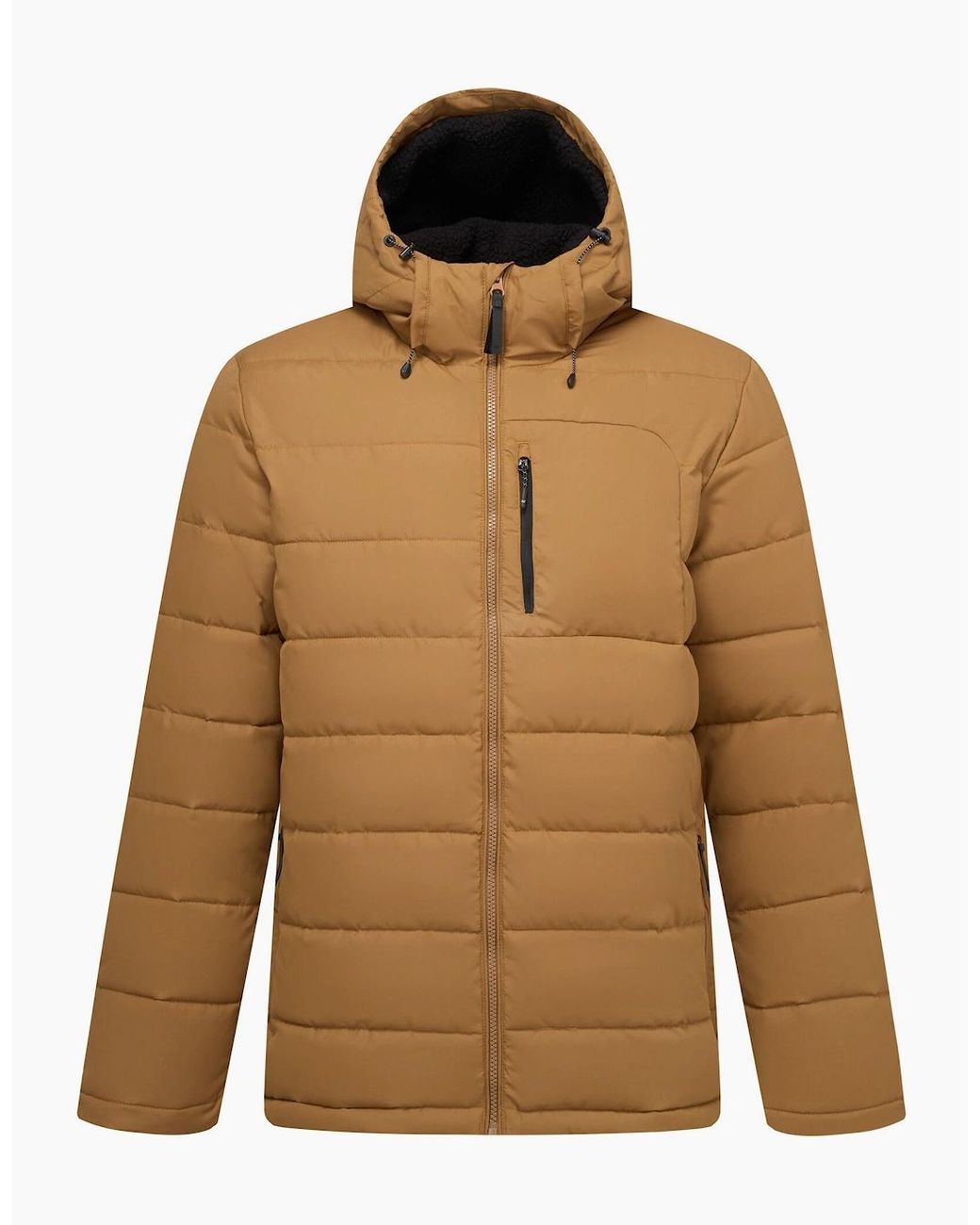 Regatta Brown Frankie Padded Jacket for men
