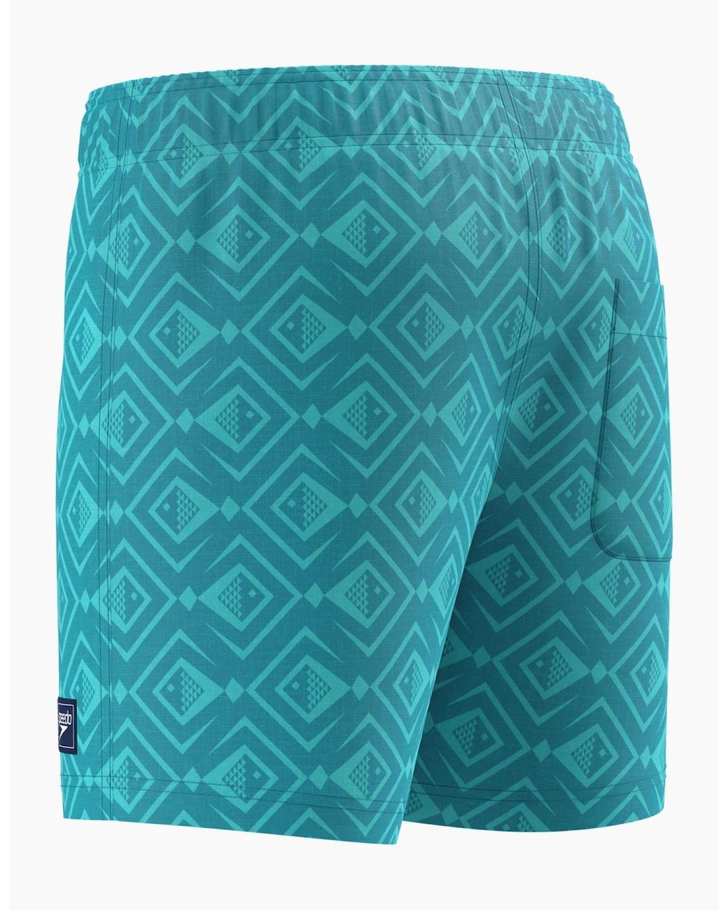 Speedo Blue Volley Geometric Swim Shorts for men