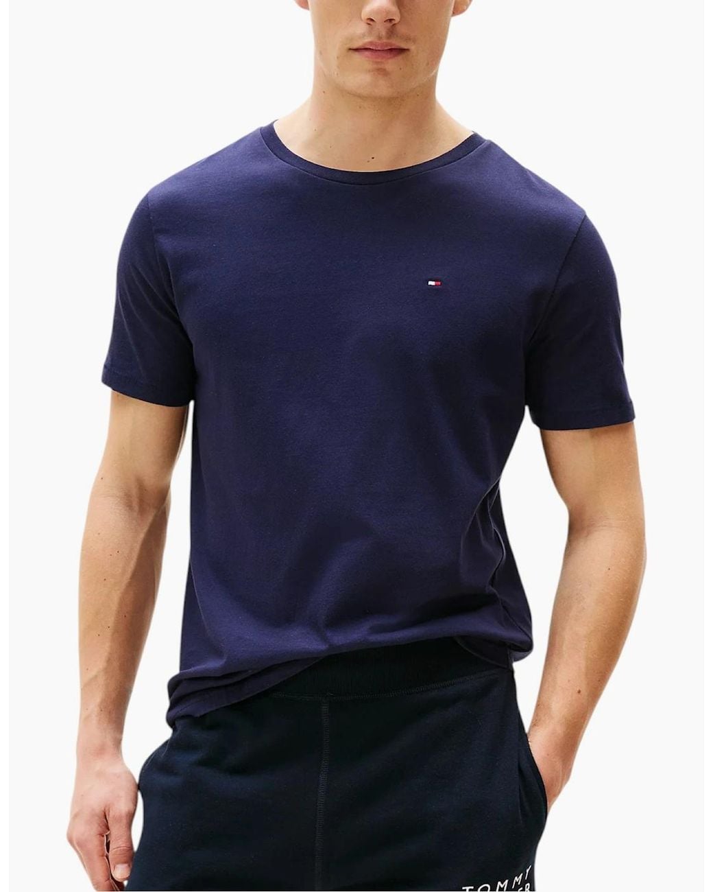 Tommy Hilfiger Blue T Shirts Cotton Top Tee for men