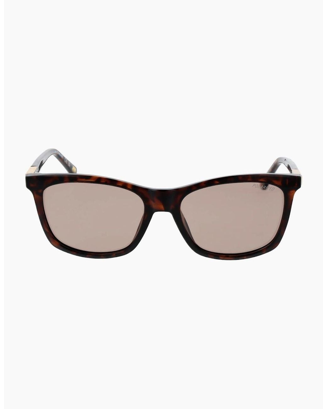 Skechers Brown Sunglasses Se6360 52H 54