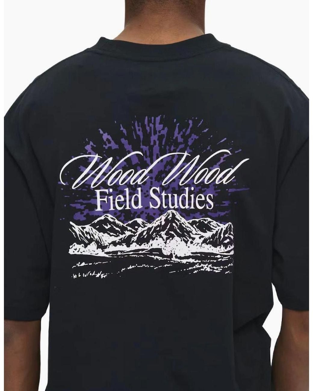 WOOD WOOD Blue Wwgary Field T-Shirt for men