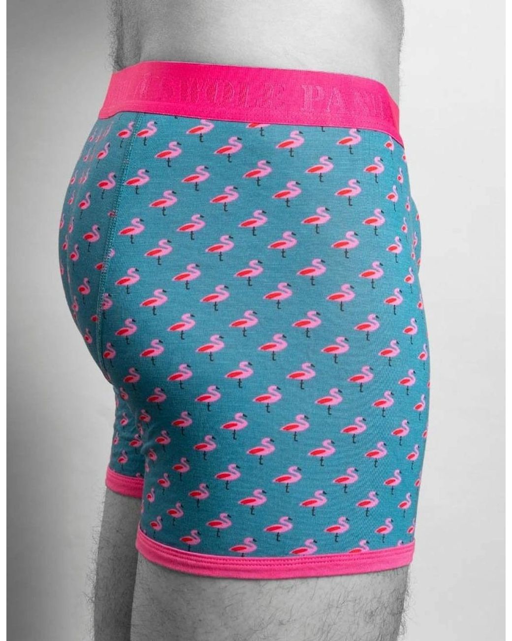 Swole Panda Blue Flamingos Bamboo Boxer Brief for men