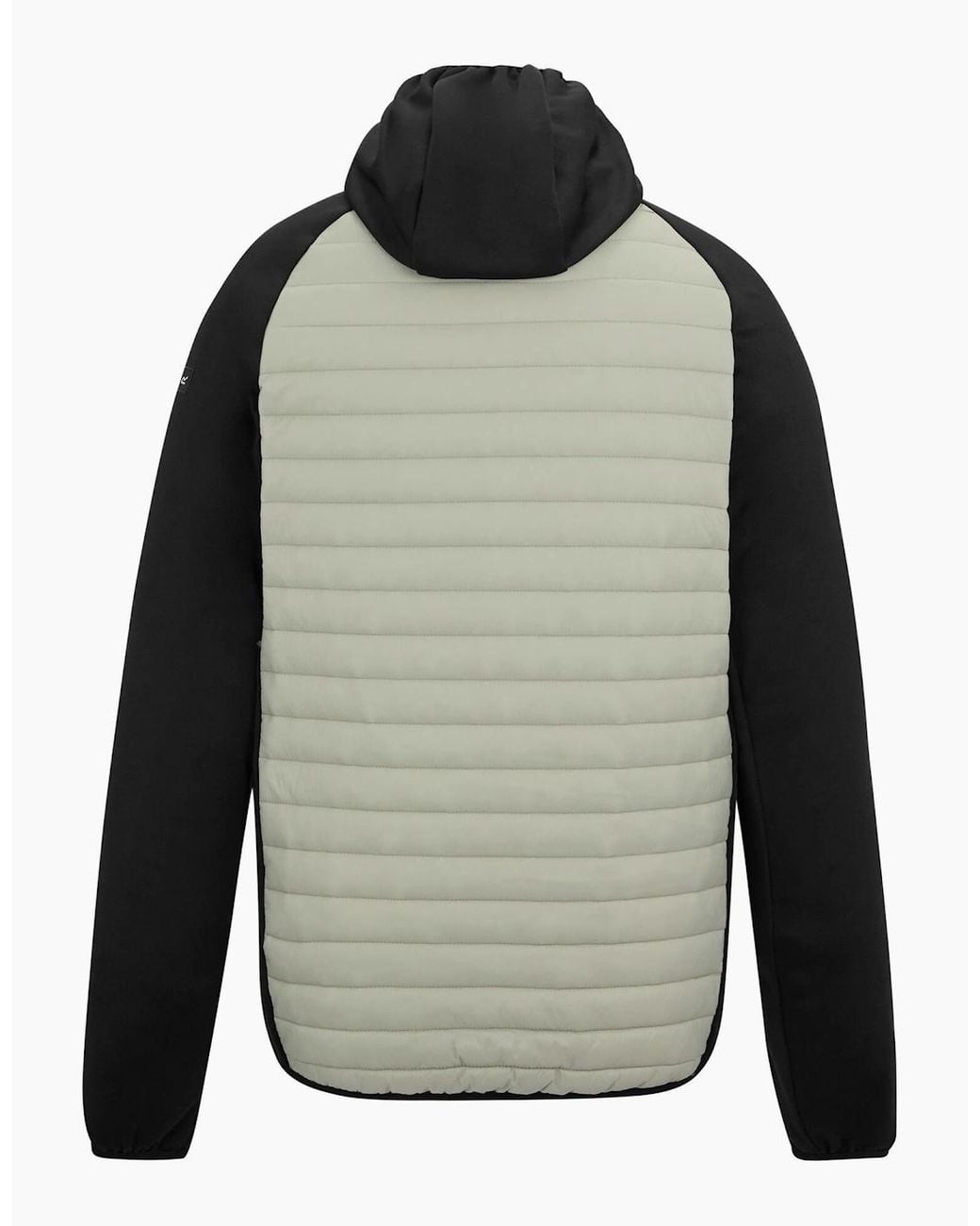 Regatta White Andreson Hybrid Jacket for men