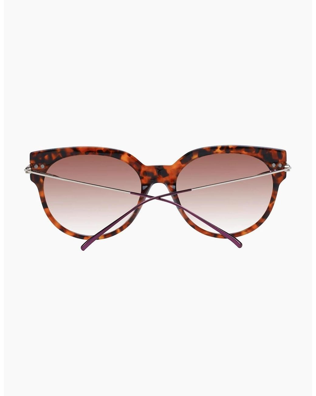 Scotch & Soda Brown Sunglasses Ss7005 104 55
