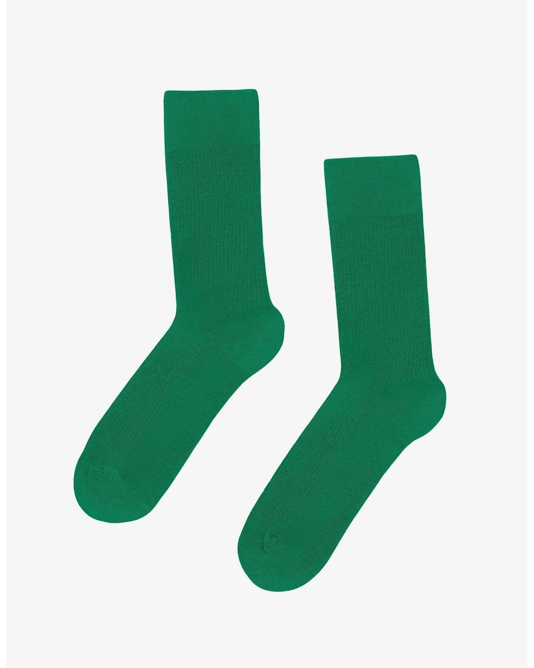 COLORFUL STANDARD Green Classic Organic Socks for men