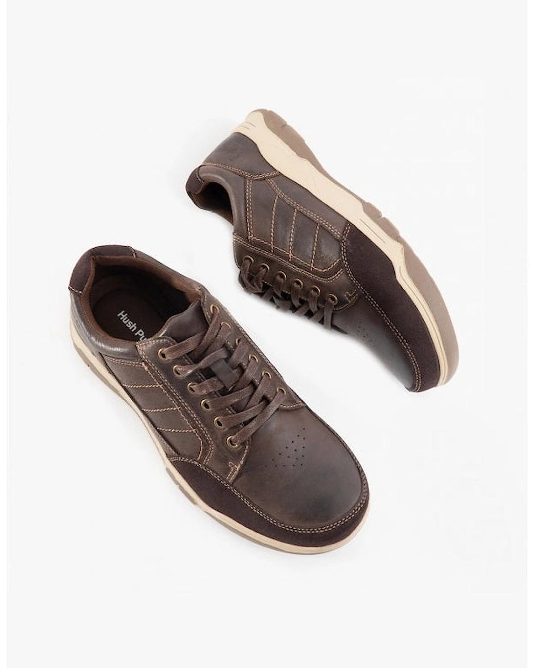 Hush Puppies Brown Finley Leather Casual Shoes for men
