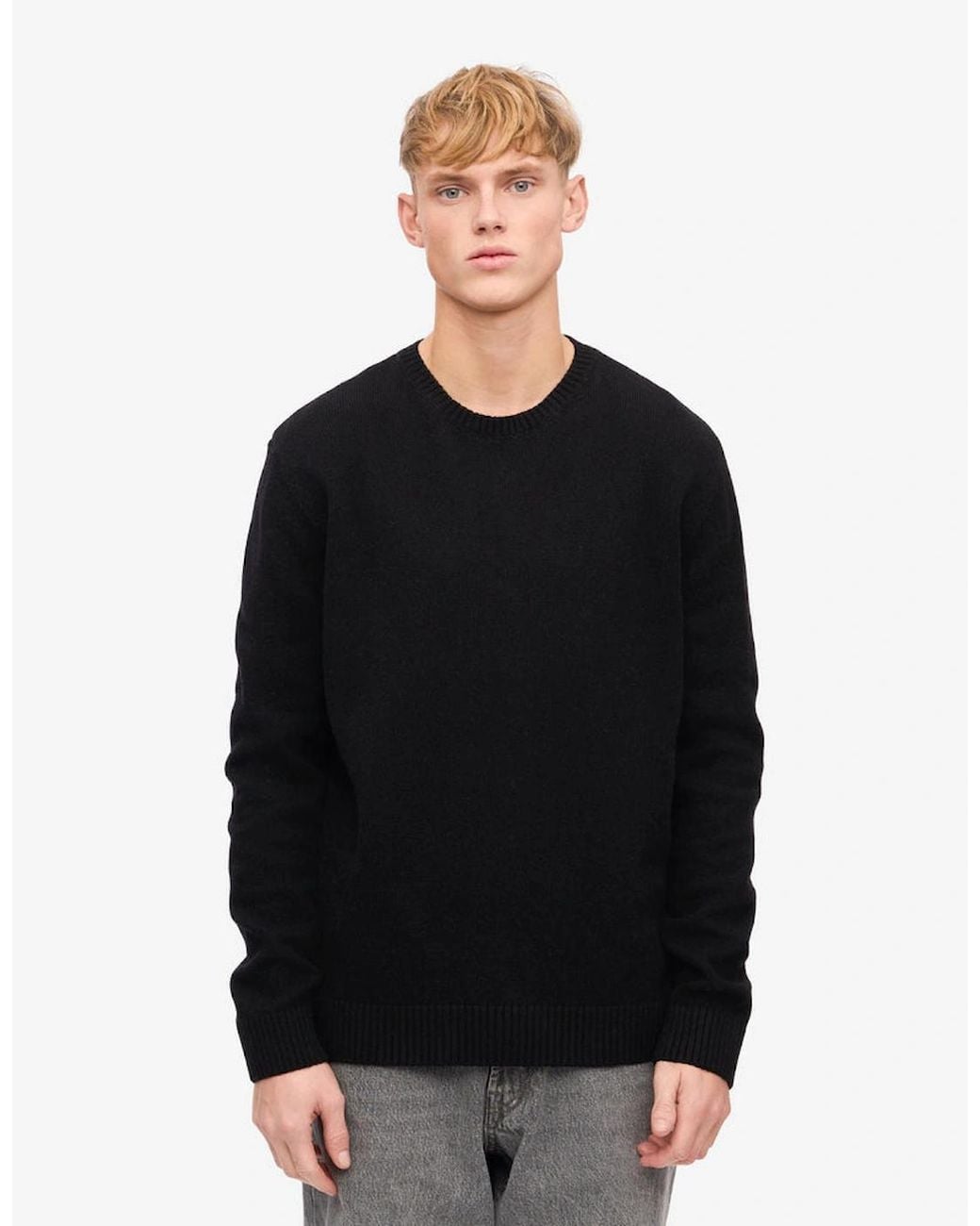COLORFUL STANDARD Black Classic Merino Wool Crew Neck Jumper for men