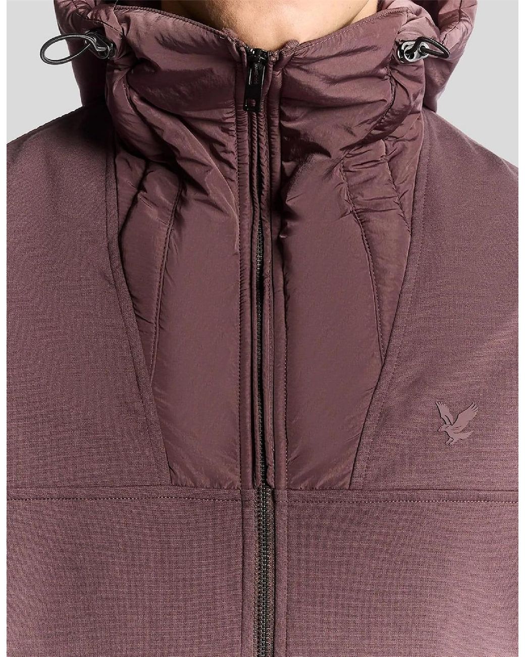 Lyle & Scott Purple Hybrid Jacket for men