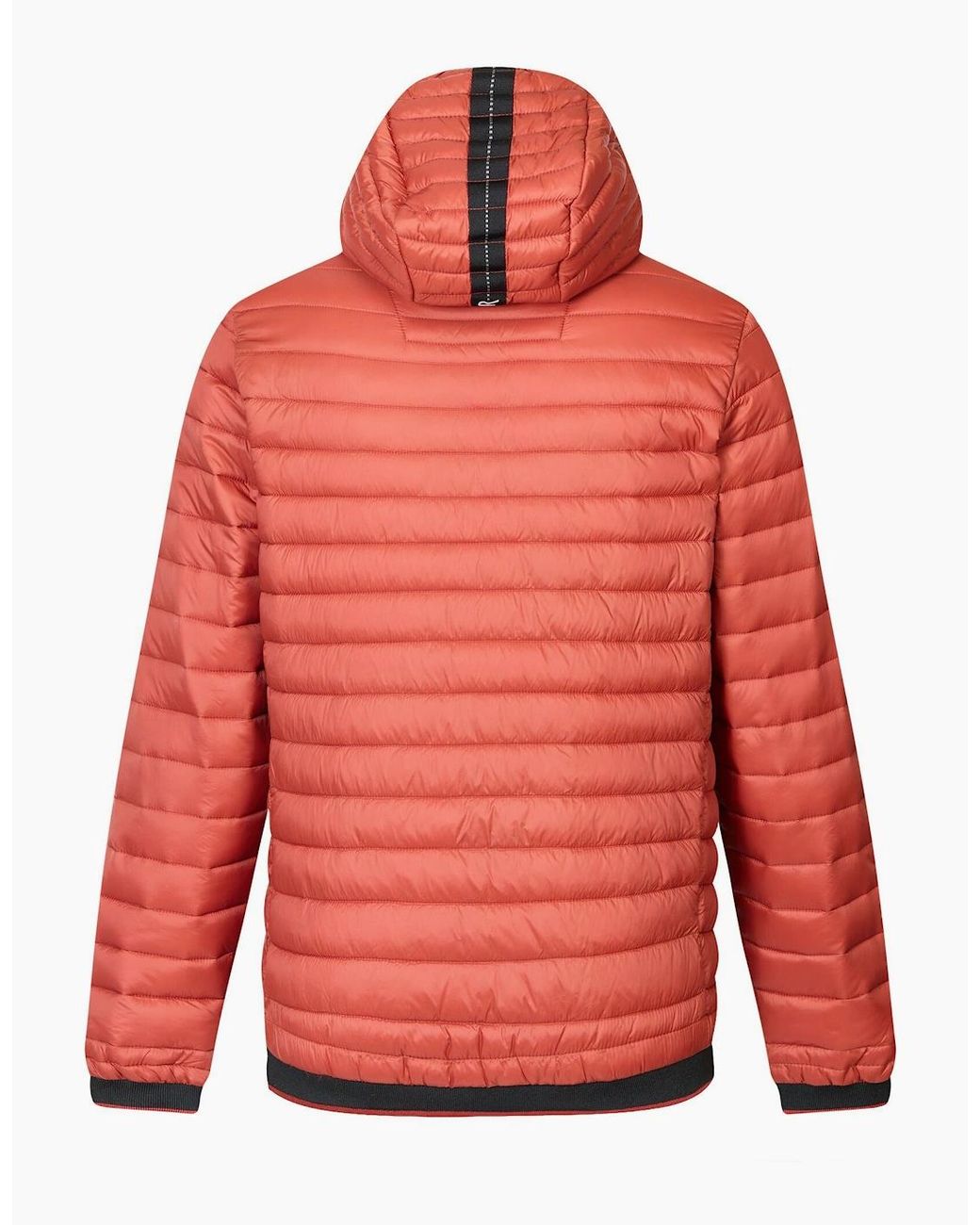Regatta Red Haile Padded Jacket for men