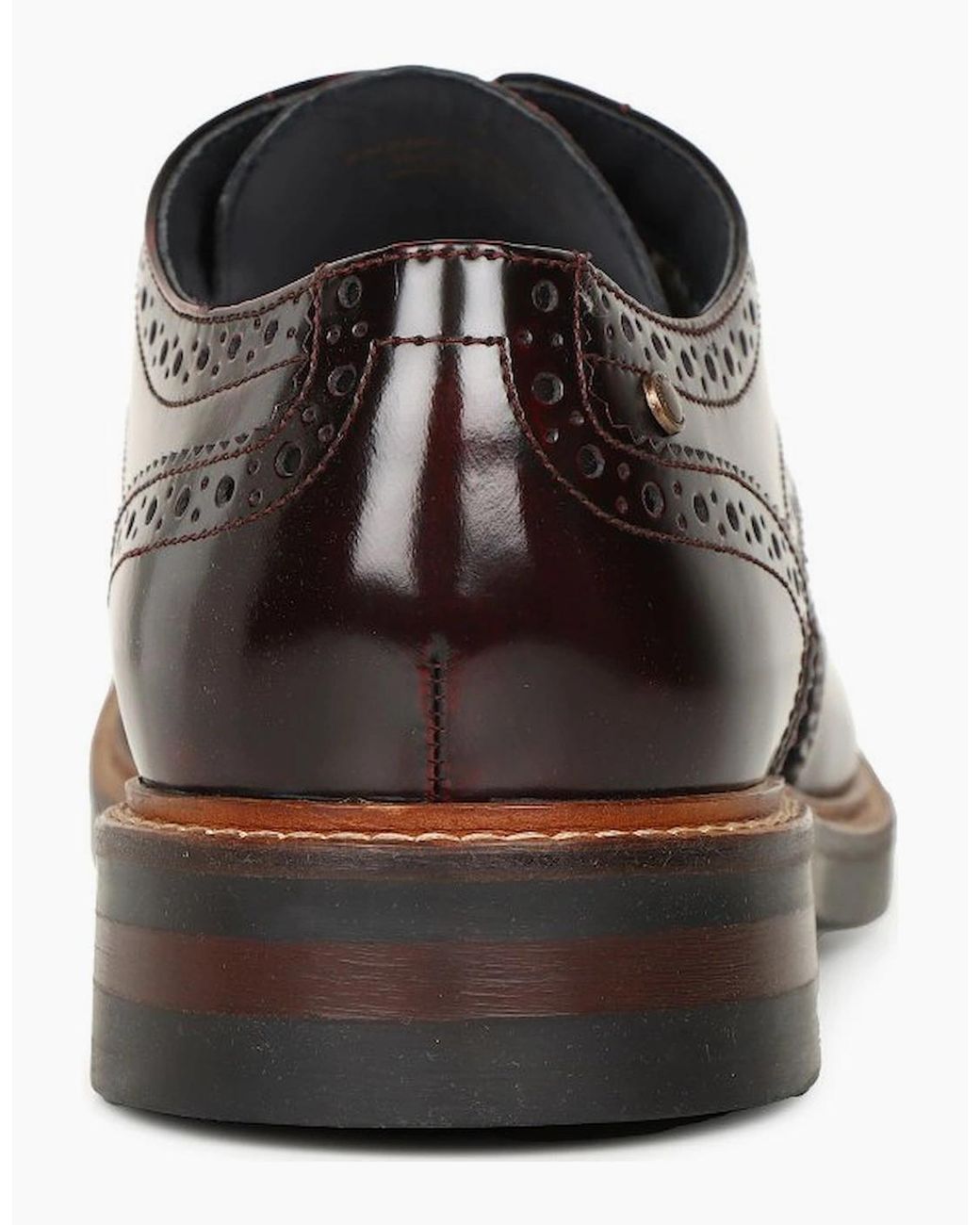 Base London Brown Woburn Brogues for men