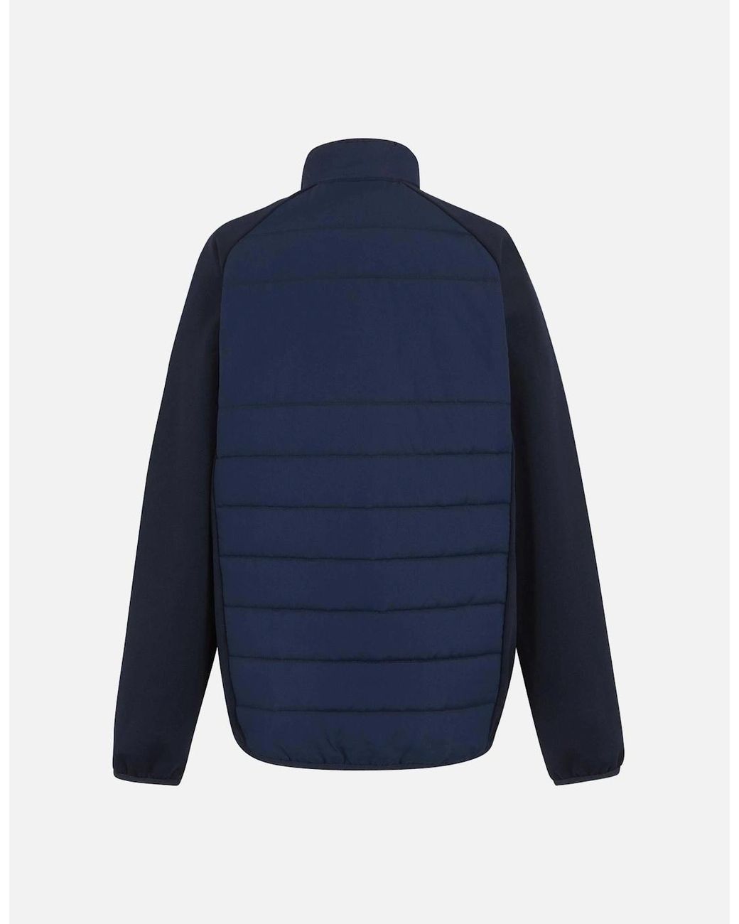 Regatta Blue Professional Hybrid Jacket for men