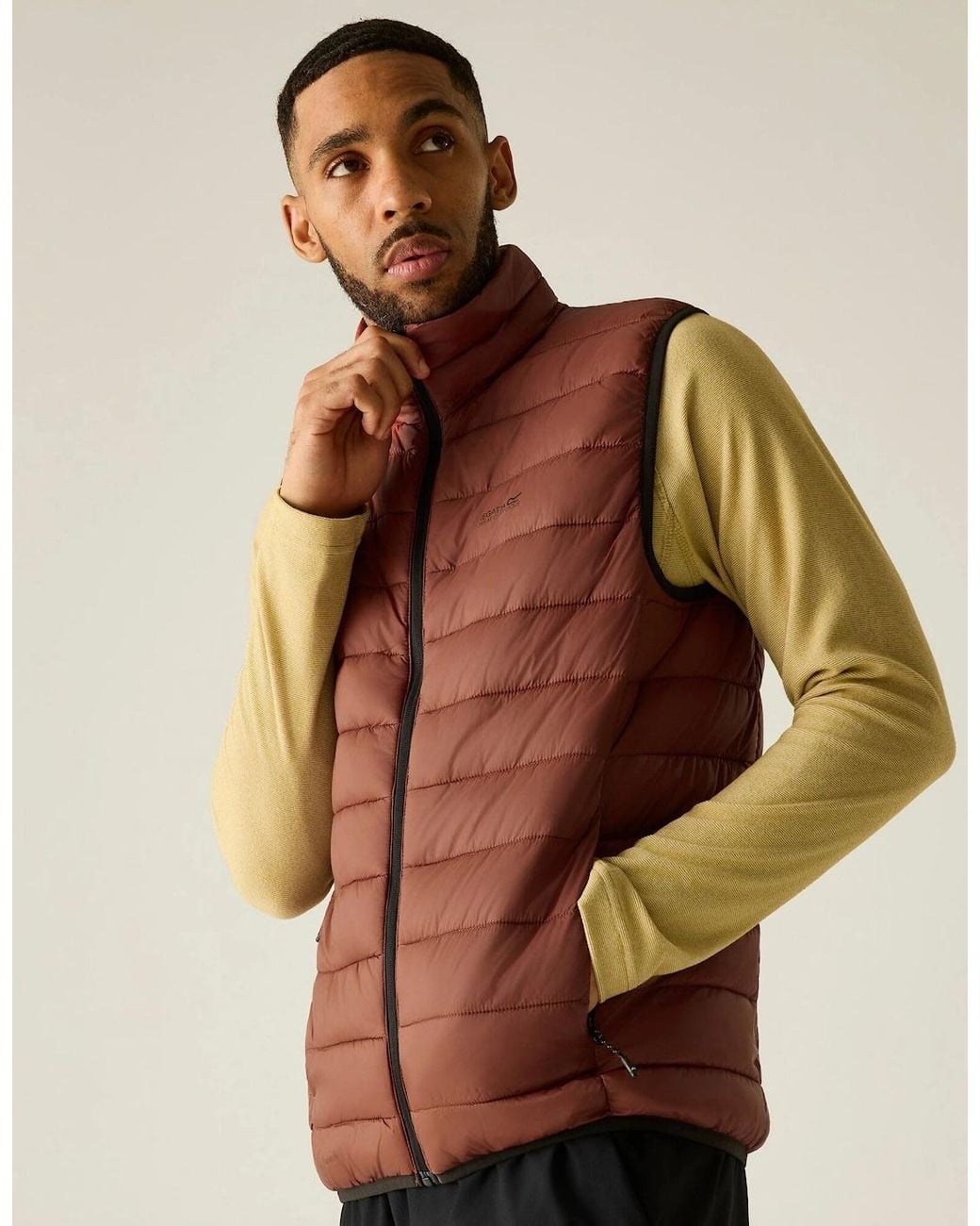 Regatta Brown Marizion Quilted Gilet for men