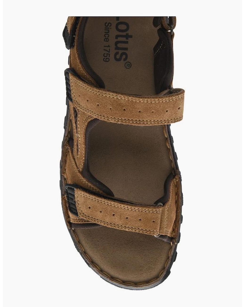 Lotus Brown Serres Sandals for men