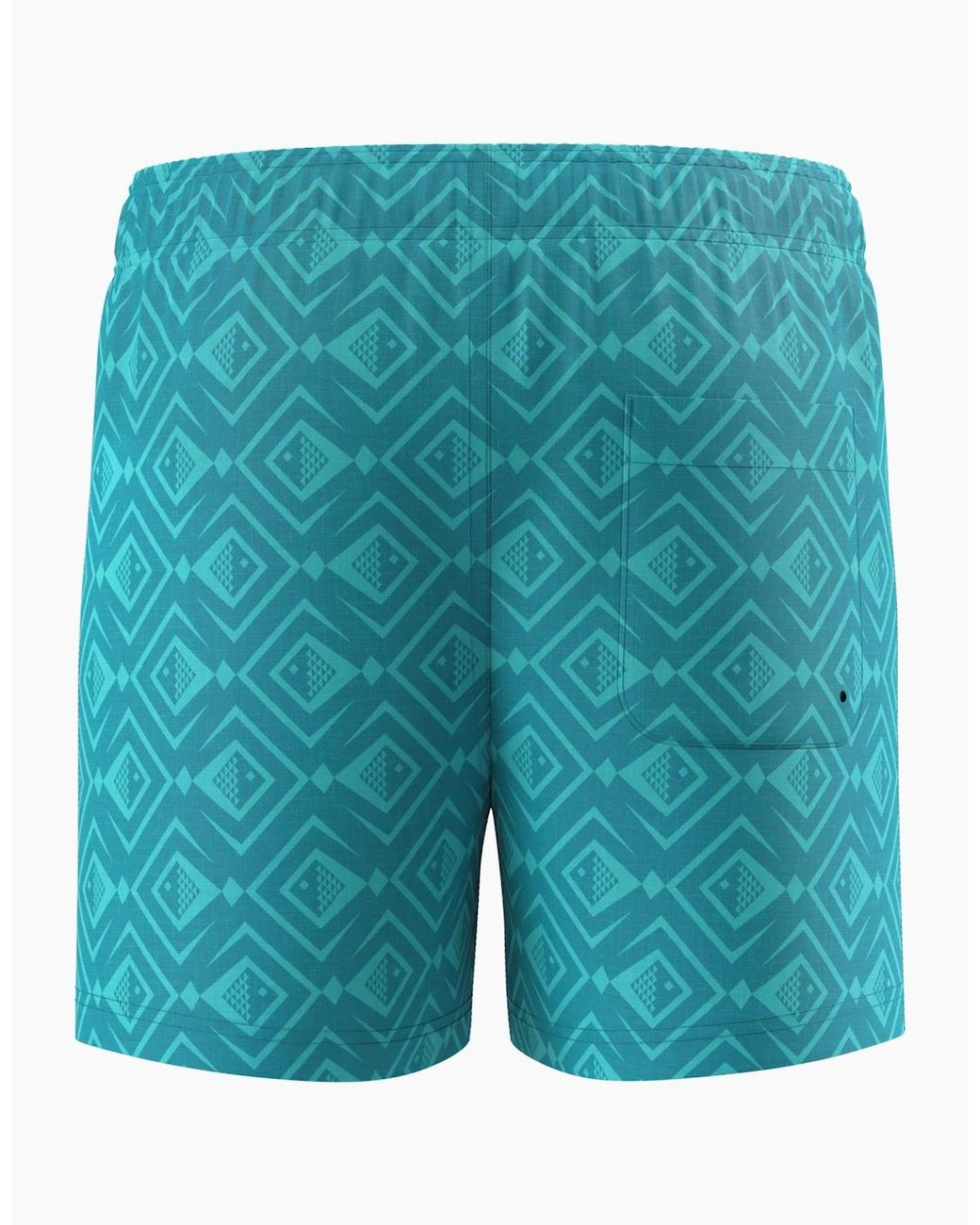 Speedo Blue Volley Geometric Swim Shorts for men