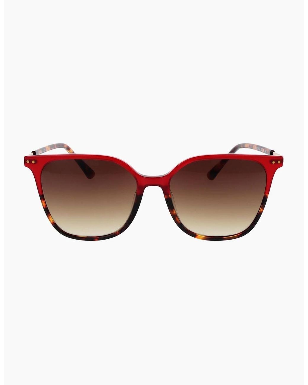 Replay Brown Sunglasses Ry473V 03S 53