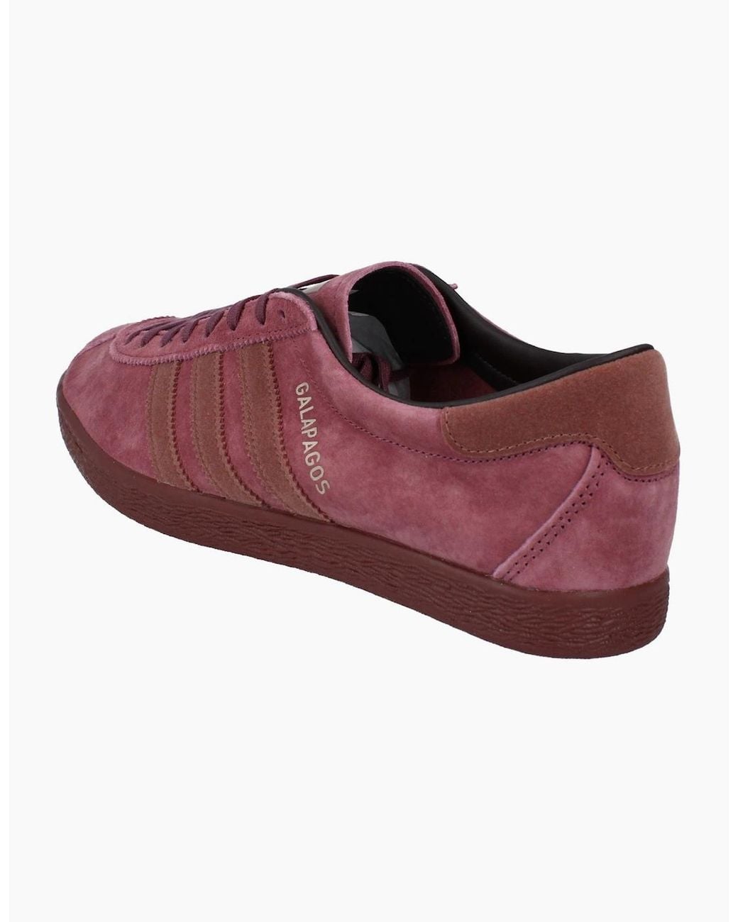 Adidas Purple Originals Galapagos Trainers Hq7272 for men