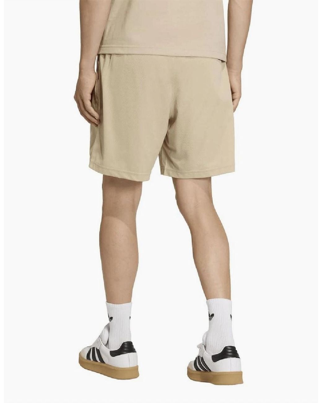 Adidas Originals Natural Trefoil Esnt for men