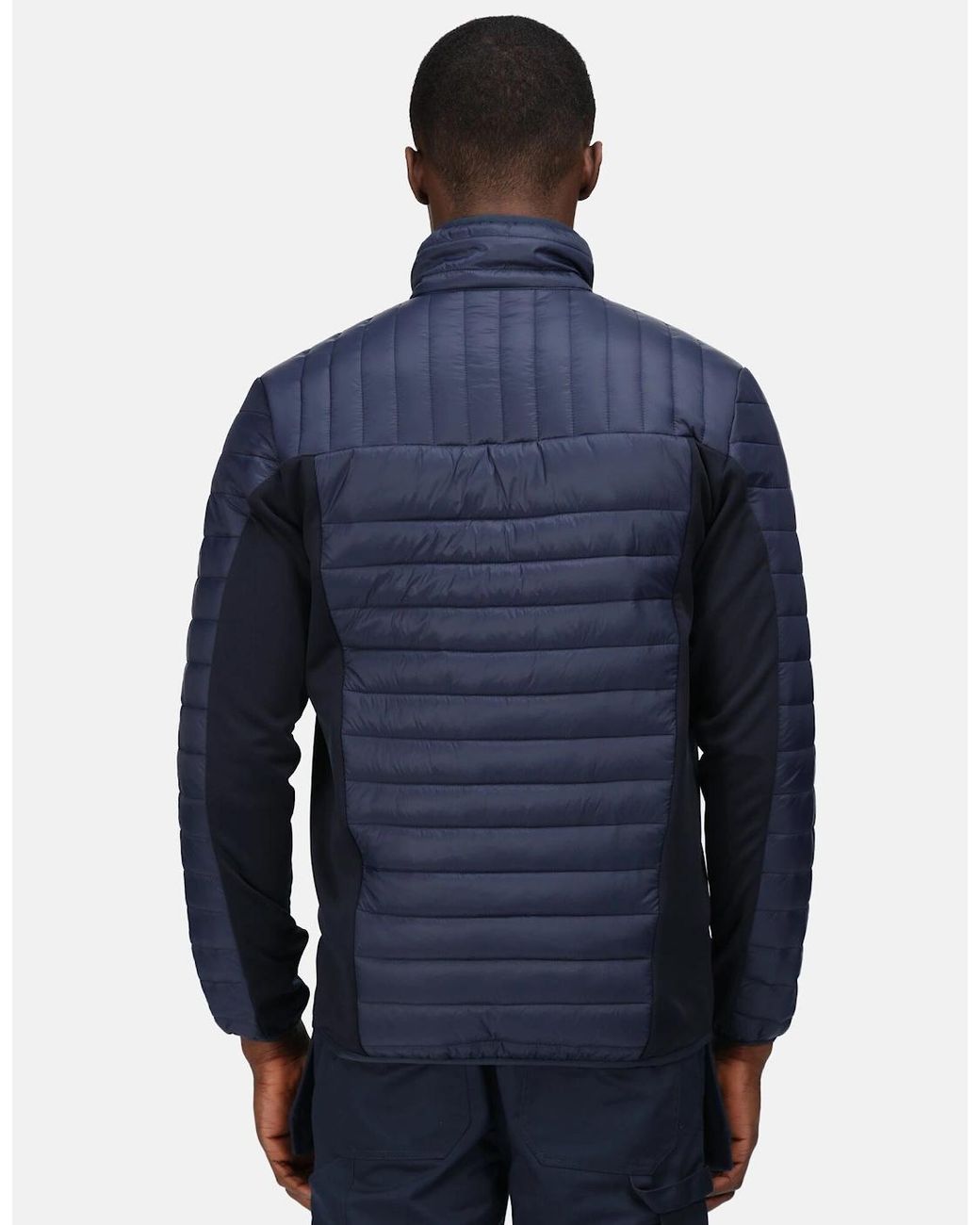 Regatta Blue Professional Hybrid Jacket for men