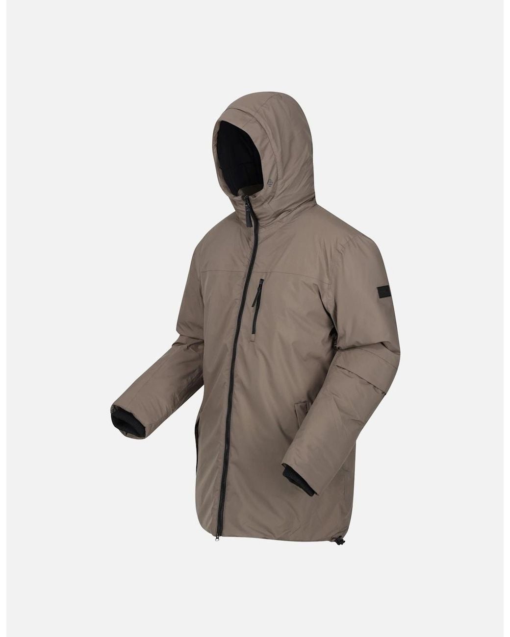 Regatta Brown Yewbank Ii Parka for men
