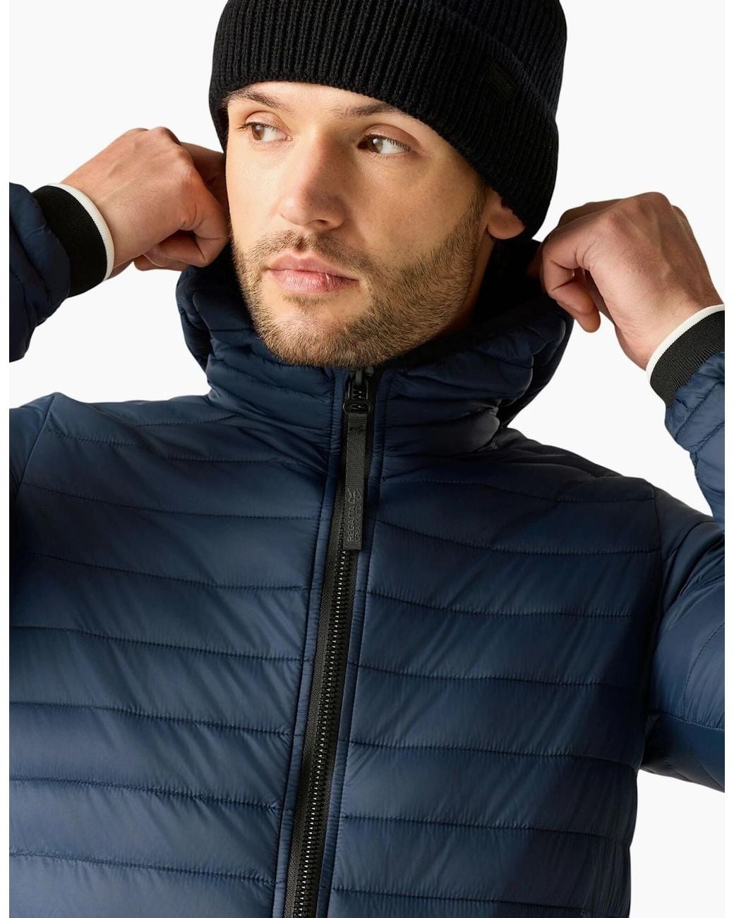 Regatta Blue Haile Padded Jacket for men