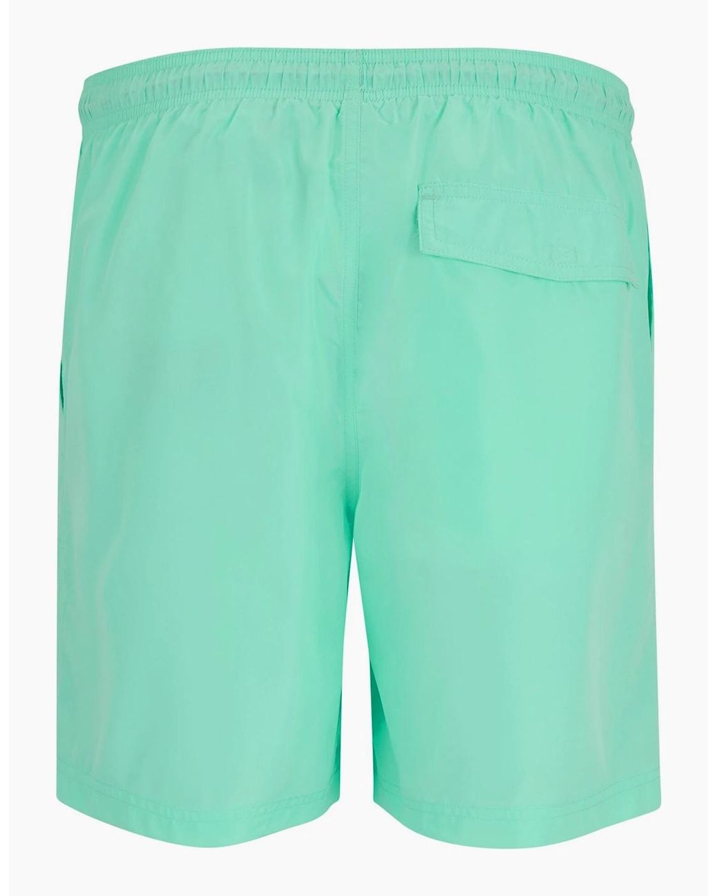 Regatta Green Mackleyna Swim Shorts for men