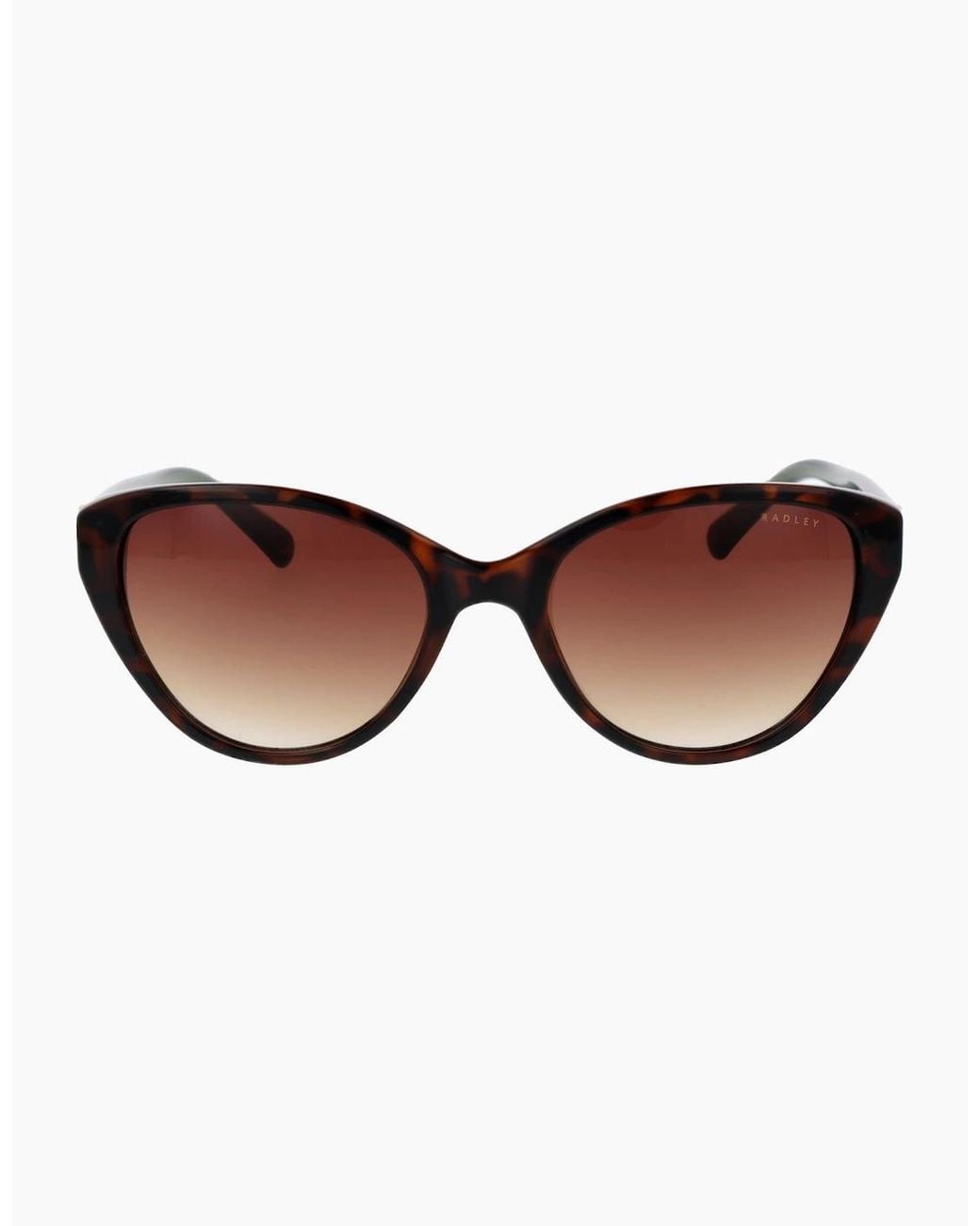 Radley Brown Sunglasses Rds-6561 102 55