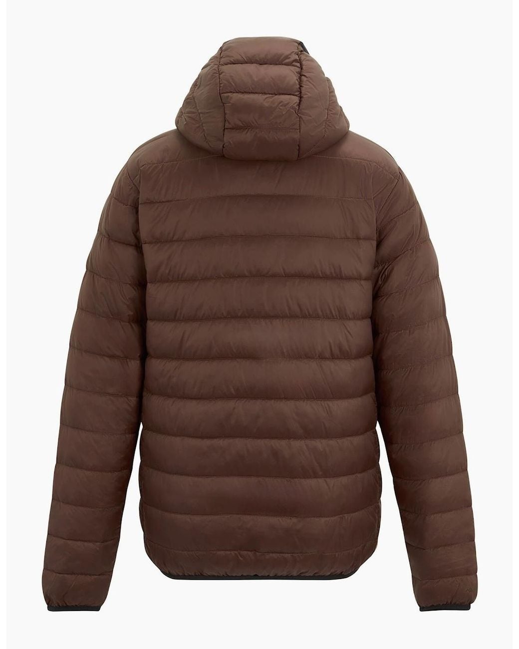 Regatta Brown Marizion Baffled Hooded Padded Jacket for men
