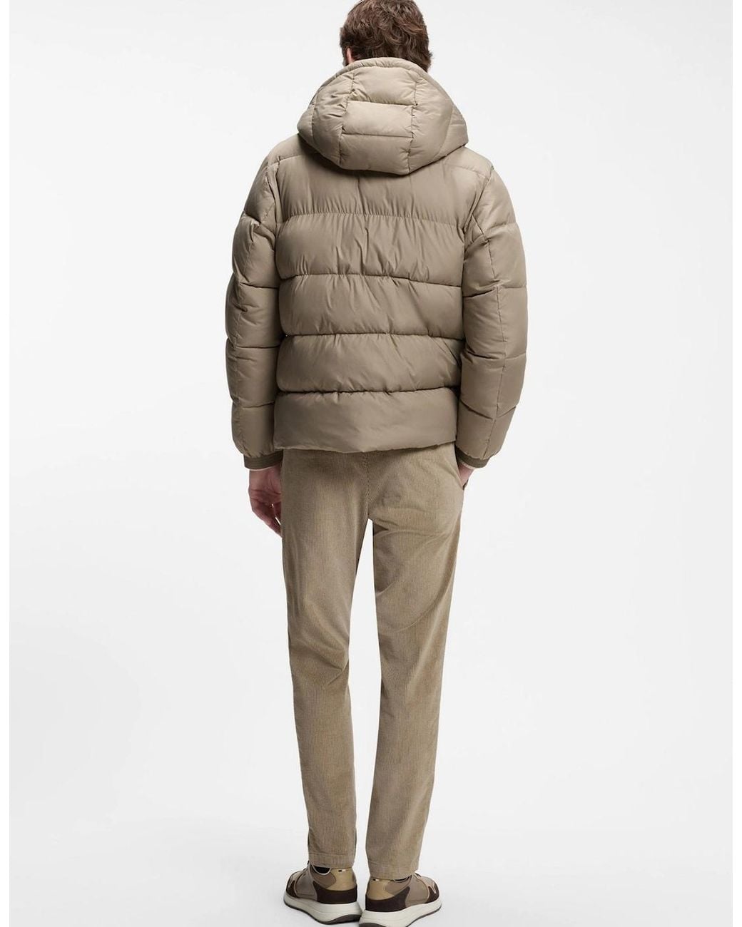 Boss Natural Boss H Colter Jacket 248 Open for men