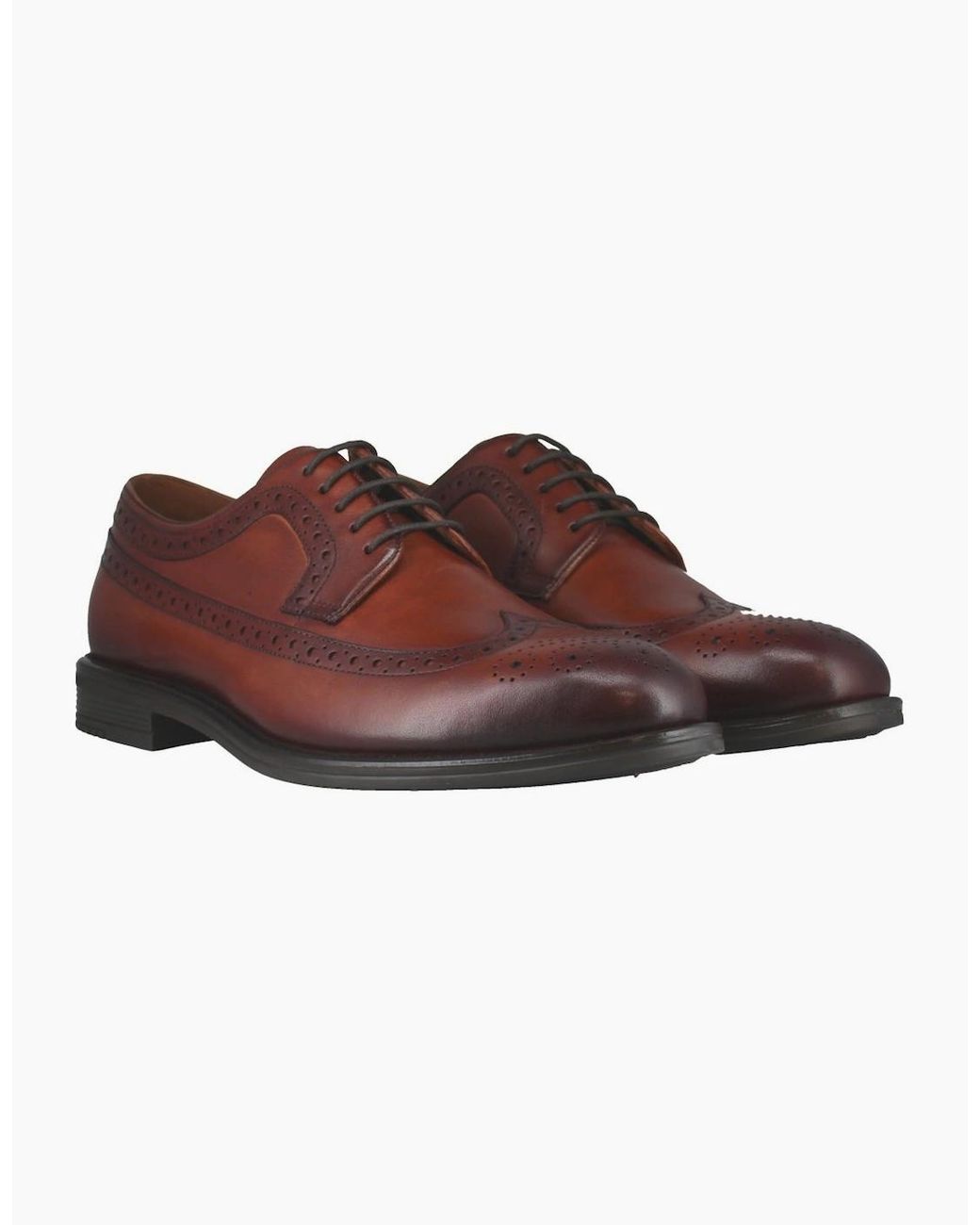 Josef Seibel Brown Cedric 05 Brogues for men