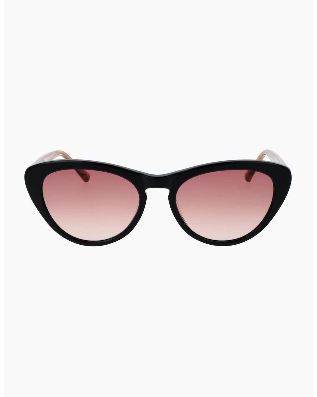 Ted Baker Brown Sunglasses Tb1690 001 53