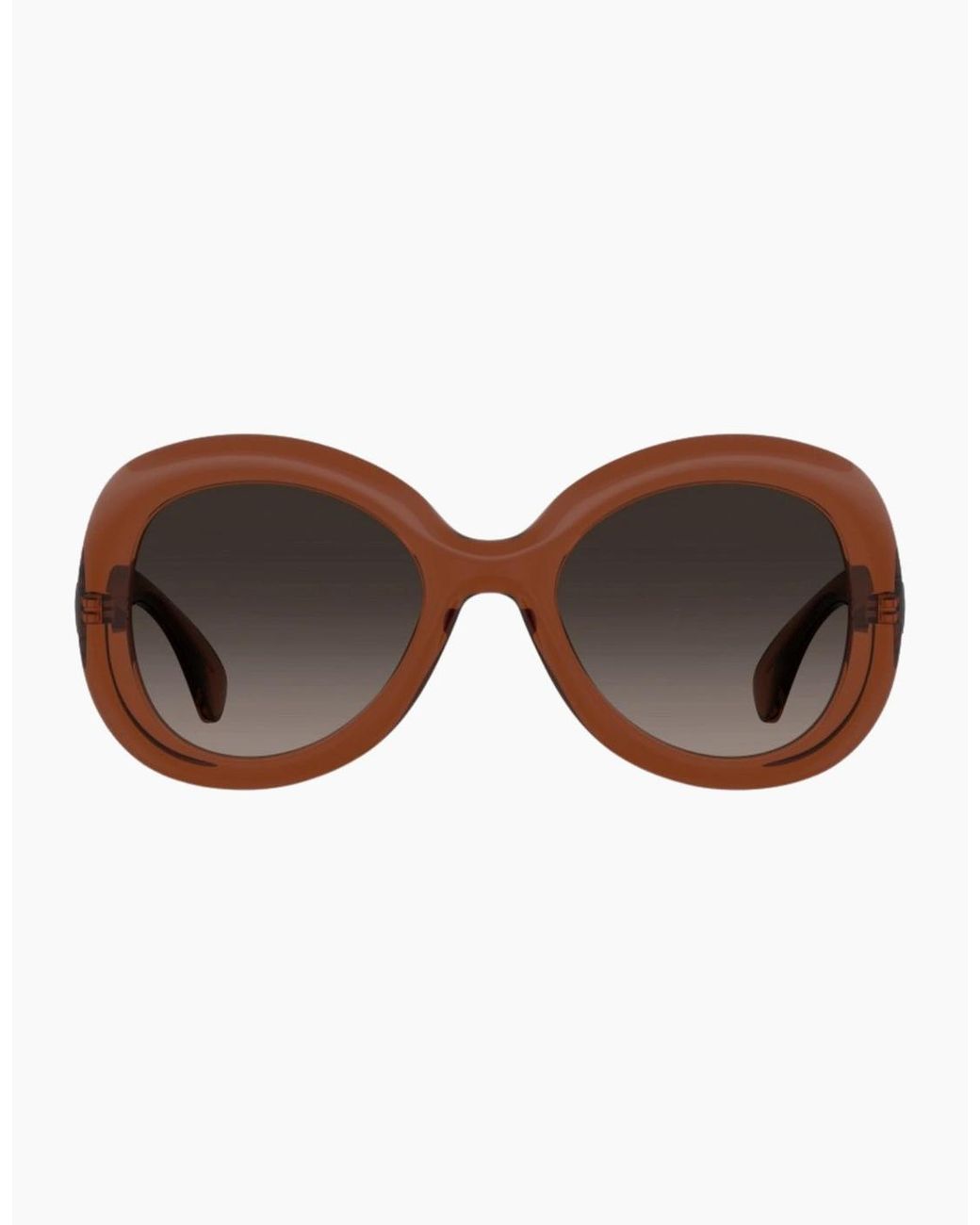 Moschino Brown Sf Lens Rounded Sunglasses