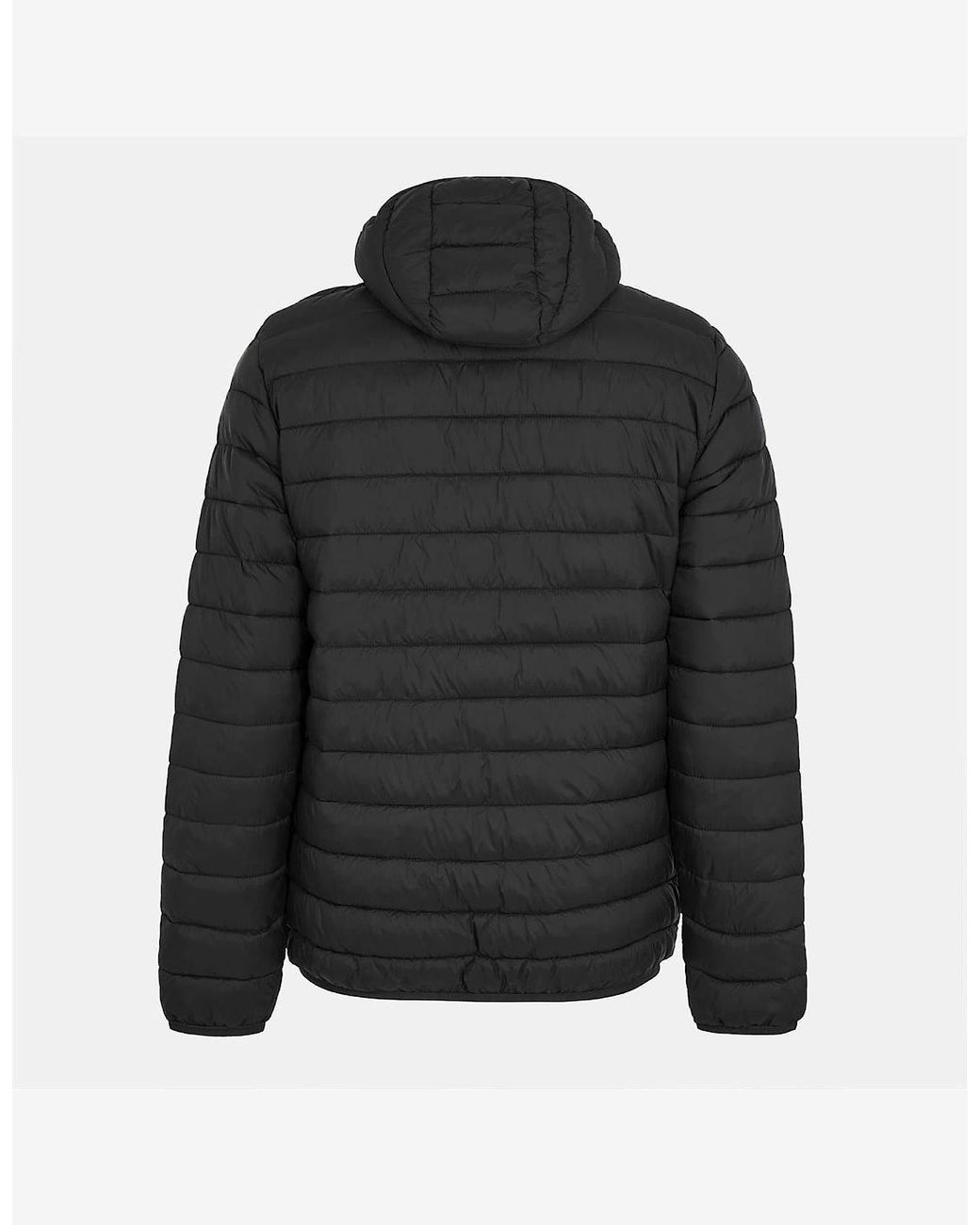 Aquascutum Black Puffer Jacket for men