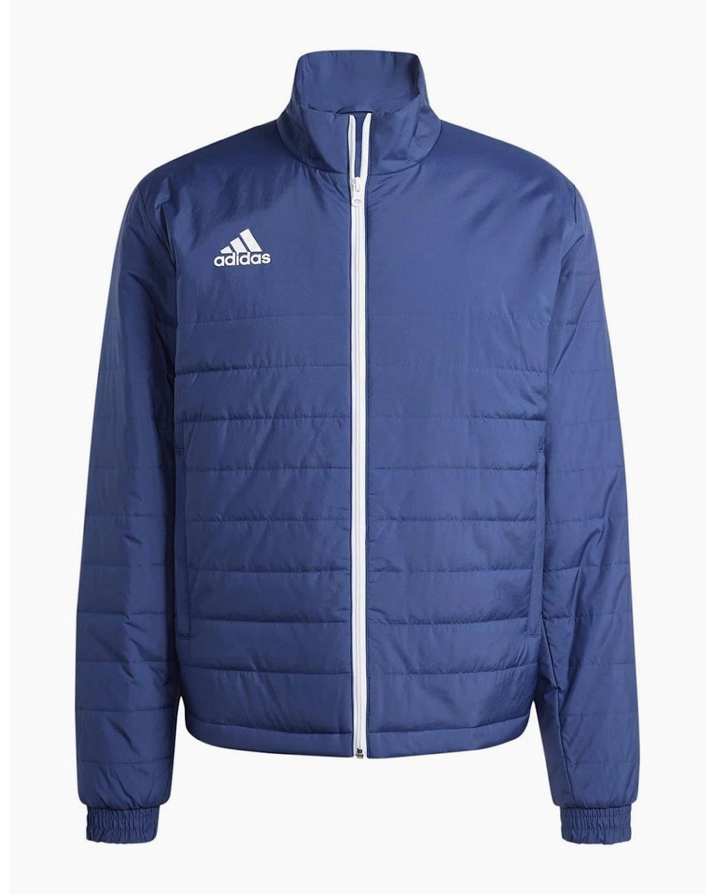 Adidas Blue Entrada Light Jacket for men