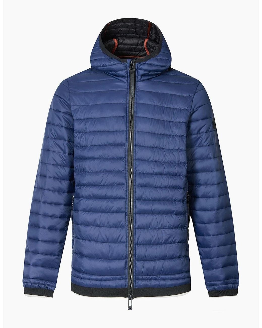 Regatta Blue Haile Padded Jacket for men