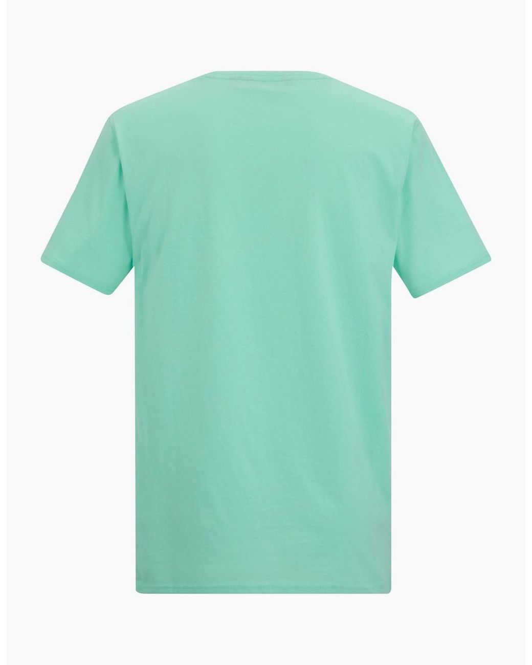 Regatta Green Cline Ix Sea Wave T-Shirt for men