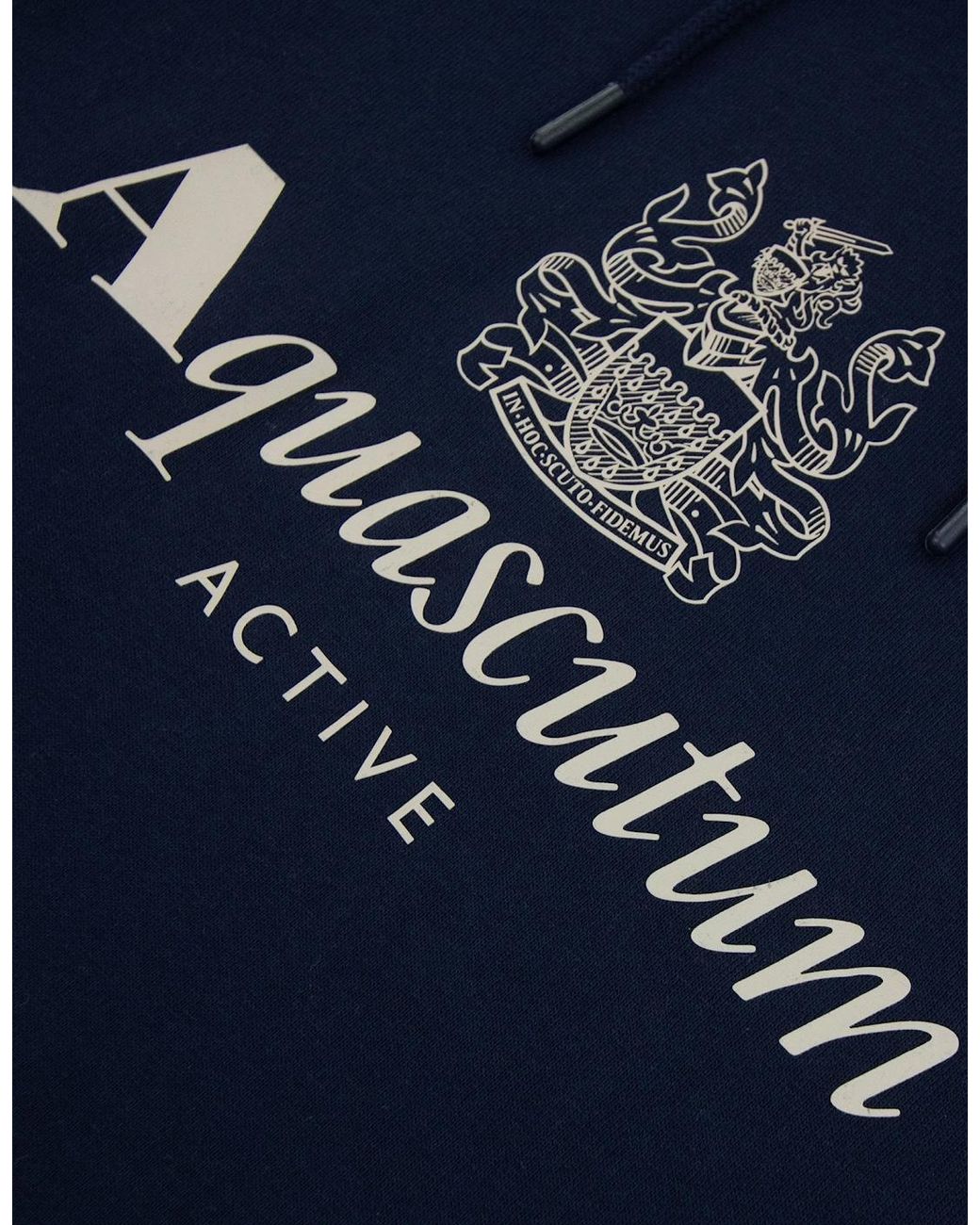 Aquascutum Blue Active Big Logo Hoodie for men