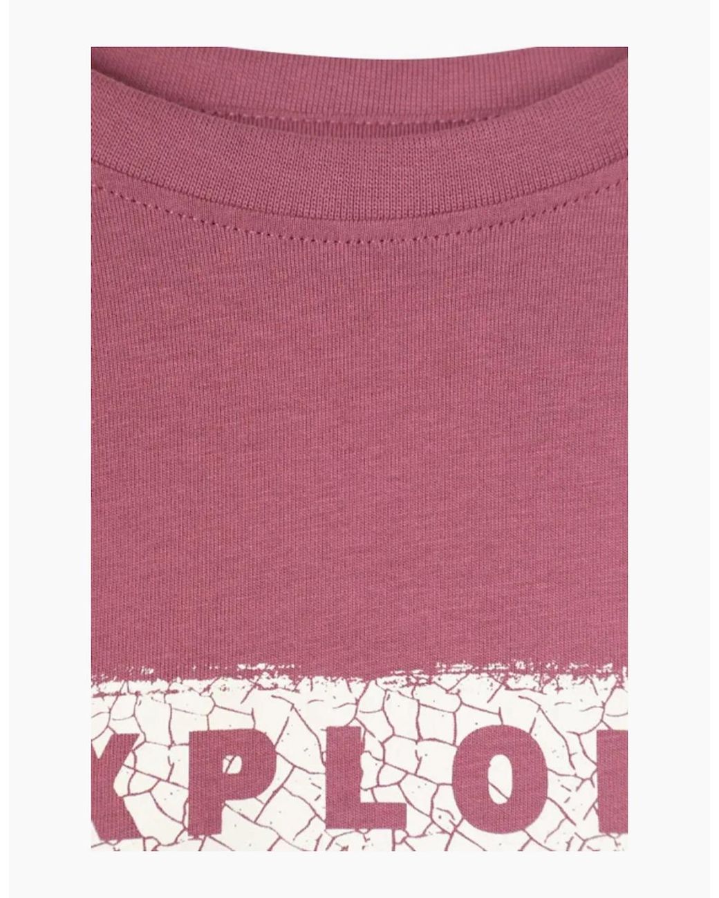 Mountain Warehouse Pink Explore Organic T-Shirt for men